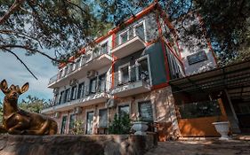 Camlik Deniz Yildizi Hotel